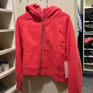 NWT PINK SCUBA CROPPED SWEATSHIRT